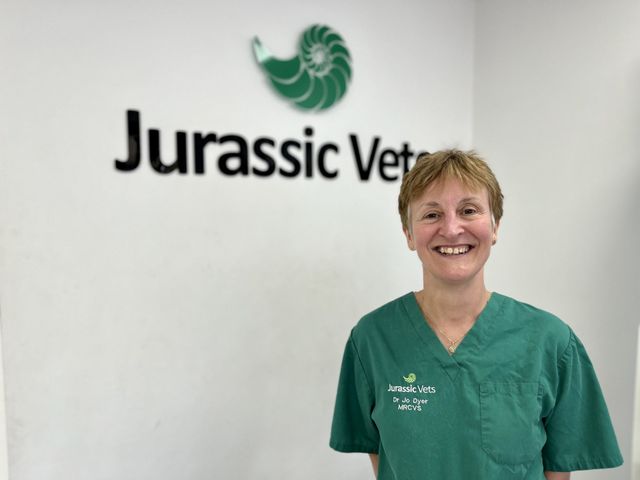 Meet the Team Vets in Sidmouth Jurassic Vets Vets in Colyton